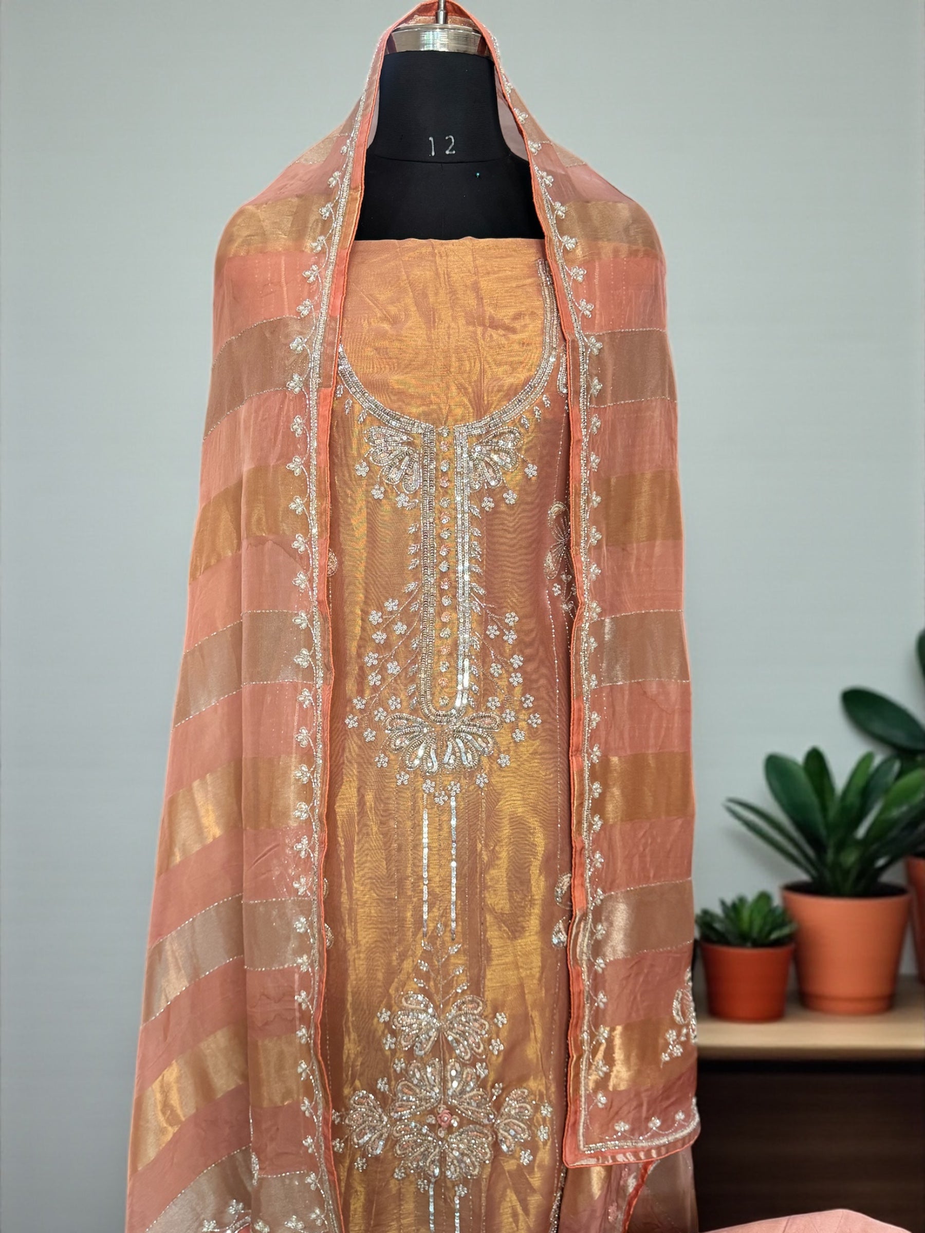 Chaand tissue hand embroidered suit set